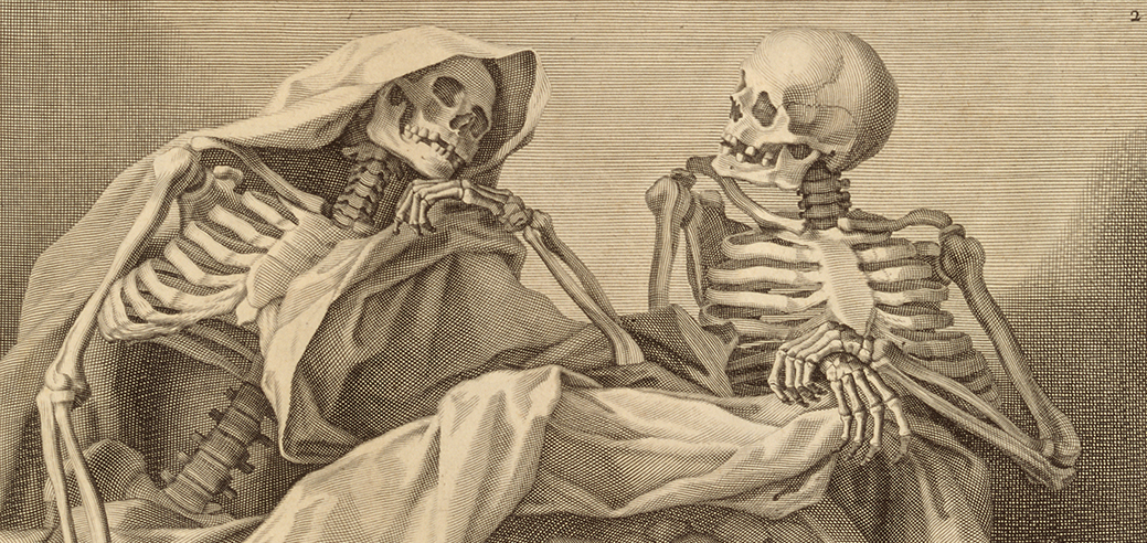 Detail of skeletons from an anatomical atlas.