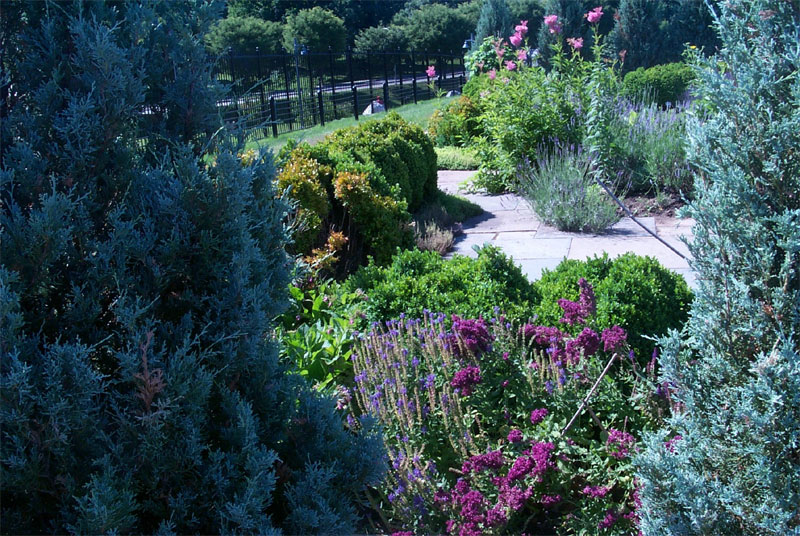 Photo of East side of the herb garden