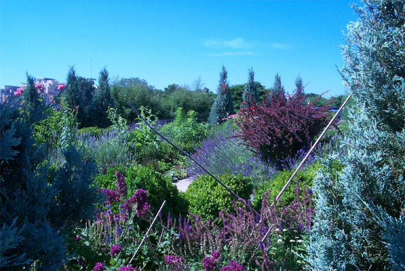 Photo of View of the herb garden facing south