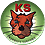 A green button with the illustrated face of a cat in the center. In red lettering at the top is the word KS. At the bottom in black lettering are the words Kaposi's Sarcoma.
