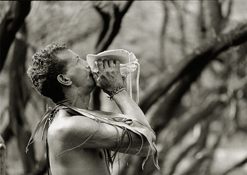 Black and white photograph of man with palm fronds around his neck blows into a conch shell during the Makahiki.