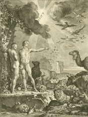 Frontispiece from Dictionnaire raisonné universel d'histoire naturelle depicting an imagined scene from the Book of Genesis in which Adam names the animals.