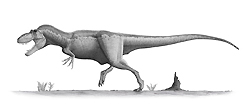 Image of daspletosaurus, rendering based on skeletal reconstruction, 2007.