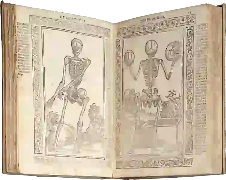 Book open to two pages. Left page shows a skeleton standing facing front with its arms stretched out to its right. Right page shows back view of a skeleton standing and holding a skull in each upraised hand.