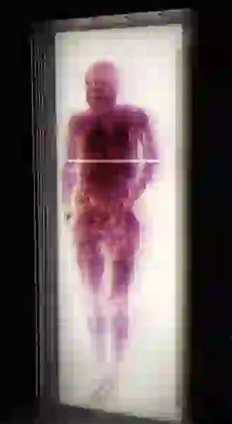 Image of human man backlit to show different parts inside the body
