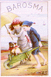 A color trade card for Barosma featuring an illustation of a boy and girl at the beach. The girl holds an umbrella open above her head while the boy carries a dog in a green wheelbarrow.
