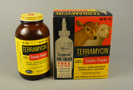 Opposite side of box of Terramycin powder with picture of calf and sheep.