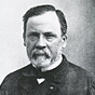 Black-and-white headshot of Pasteur with a beard
