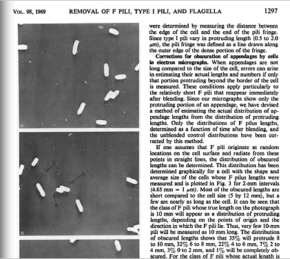 Excerpt from journal article with images of E. Coli bacteria interacting with one another with their flagella