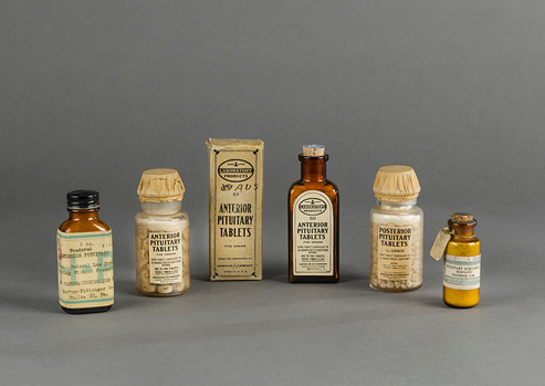 Five labeled glass bottles and one box containing pituitary gland tablets and powders.