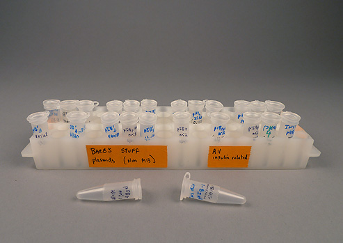 White plastic test tubes with caps in white plastic test tube holder.  Tubes and holder have labels written on them in ink.