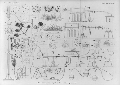 Black and white drawing of various flasks, laboratory set ups, and microorganisms from Louis Pasteur’s research on fermentation.