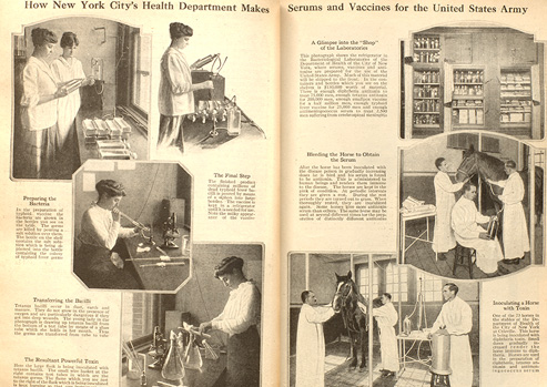 Black and white magazine spread with photographs of women working with laboratory flasks and men bleeding horses and injecting them with toxins.