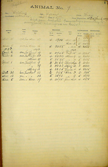 Page from a ledger with printed headers, lined columns and rows, and handwritten notations.