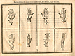 Woodcut illustration of eight hands, mainly flat, viewed from different angles, including the palm, the back of the hand, and several different side views, from Jehan Cousin’s Livre de pourtraiture, NLM Call no.: WZ 250 C8673L 1608.