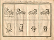 Woodcut illustration of eight feet, mainly flat, viewed from different angles, including the top, the back of the foot, and several different side views, from Jehan Cousin’s Livre de pourtraiture, NLM Call no.: WZ 250 C8673L 1608.