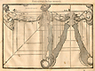 Woodcut illustration of seven images of male arms from different angles along with their proportions measured out, shown from above, below, and outstretched at different angles to the viewer, from Jehan Cousin’s Livre de pourtraiture, NLM Call no.: WZ 250 C8673L 1608.