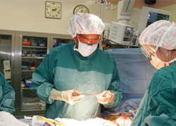 Two people working in a surgeon room.