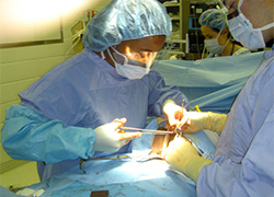 Surgeon operating on a patient.