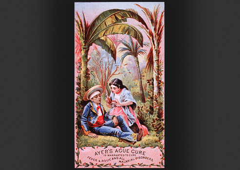 A man is laying down while being fed a drink by a woman in the middle of a junglescape.