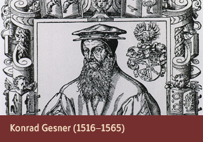 <a href='onlineactivities03.html'>3. Konrad Gesner (1516–1565)</a>
    <h3> </h3>
    <h4>Konrad Gesner from <em>Konrad Gessner als Gärtner</em>  (Konrad Gesner as a gardener), 1948</h4>
    <h5>Creator: Diethelm Fretz
    <br>Courtesy National Library of Medicine<br /></h5>
    <p>Konrad Gesner was a Swiss naturalist whose 1551 publication, <em>Historiae Animalium</em>, is considered one of the first examples of modern zoology. Unlike earlier thinkers, Gesner included not only Greek and Biblical descriptions of animals in his writings, but also information that he had gained from dissection.</p>