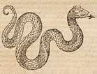 Serpent with an arrow as a tongue.