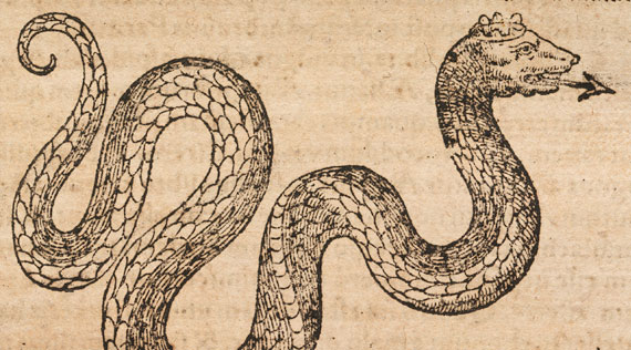 Illustration of a serpent with an arrow as a tongue.