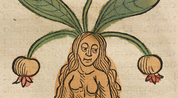 A long haired woman with leaves and bulbs coming out of her head.