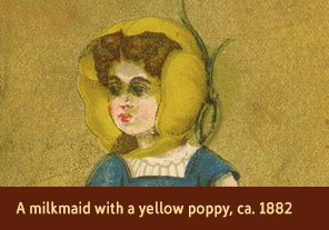 <a href='onlineactivities12.html'>2. A milkmaid with a yellow poppy, ca. 1882</a>
    <h3>Advertising trade card for Mrs. George H. Davis, a florist at Boston Rose Buds, Providence, RI, ca. 1882</h3>
    <h4>Courtesy National Library of Medicine</h4>
    <p>A yellow poppy encloses a milkmaid’s head on this trade card.  Yellow poppies represented wealth and success in the 1880s. On the back, the card lists the business of Mrs. George H. Davis, a florist.</p>
