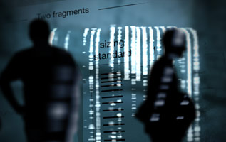 Photographic collage. Shadows appear in the foreground, image of DNA strands in the middle ground, and worksheet image in the background.