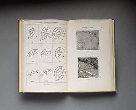 E. R. Henry, Classification and Uses of Fingerprints, London, 1900