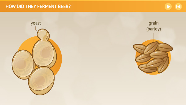 Illustration of yeast and a grain of barley.