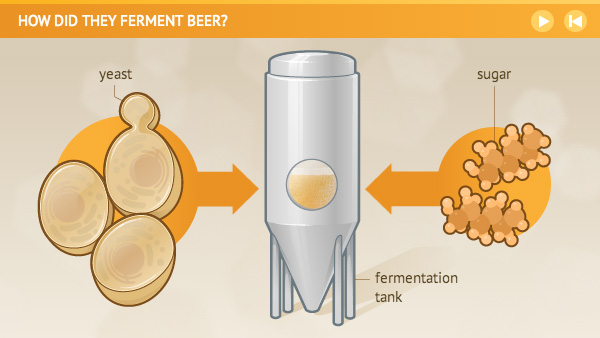 Illustration of yeast and sugar to be combined in a fermentation tank.