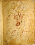 Folio 39b of Ibn Ilyās' Tashrīḥ-i badan-i insān (The Anatomy of the Human Body) featuring the figure of a pregnant woman. This is essentially the arterial figure on which a gravid uterus with the foetus in a breech or transverse position has been superimposed. The paper is thick, creamy, opaque and burnished with faint irregular laid lines.