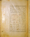 Folio 8a of Ibn Ilyās' Tashrīḥ-i badan-i insān (The Anatomy of the Human Body) featuring a schematic inked diagram of the bones of the upper jaw (maxilla) with the positions of the teeth indicated on the right center side of the page. The paper is thick, creamy, opaque and burnished with faint irregular laid lines. The text is written in a careful and elegant nasta‘liq script within frames of two thin inked lines with the area between filled with gilt. Black ink with rubrications.