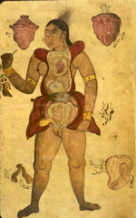 Folio 554b from MS P 20 featuring an illustration, in ink and opaque watercolors, of a pregnant woman with abdomen and chest opened to reveal the internal organs and fetus. Surrounding the figure are drawings of [at the top] two hearts, [lower right] the lungs, and something unidentifed in the lower left (labeled the opening of the vagina).