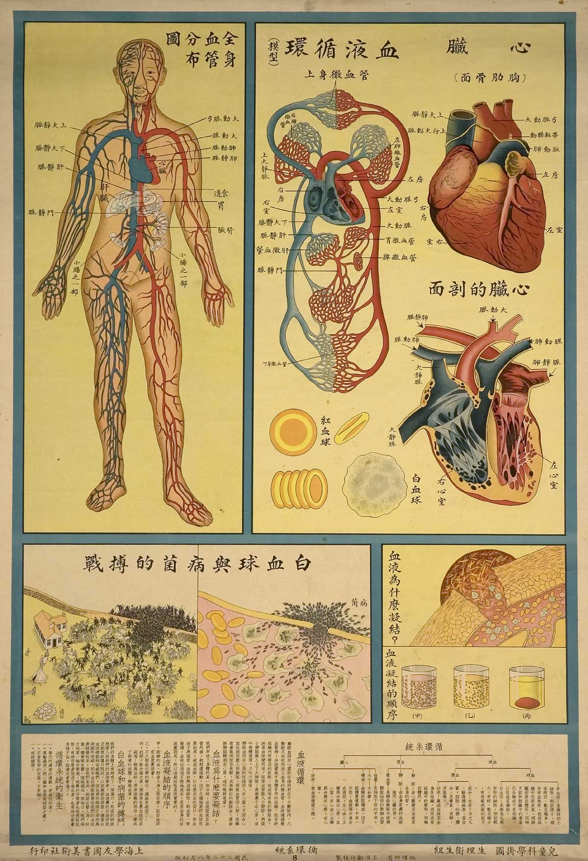 Chinese Public Health Posters: Understanding Human Body
