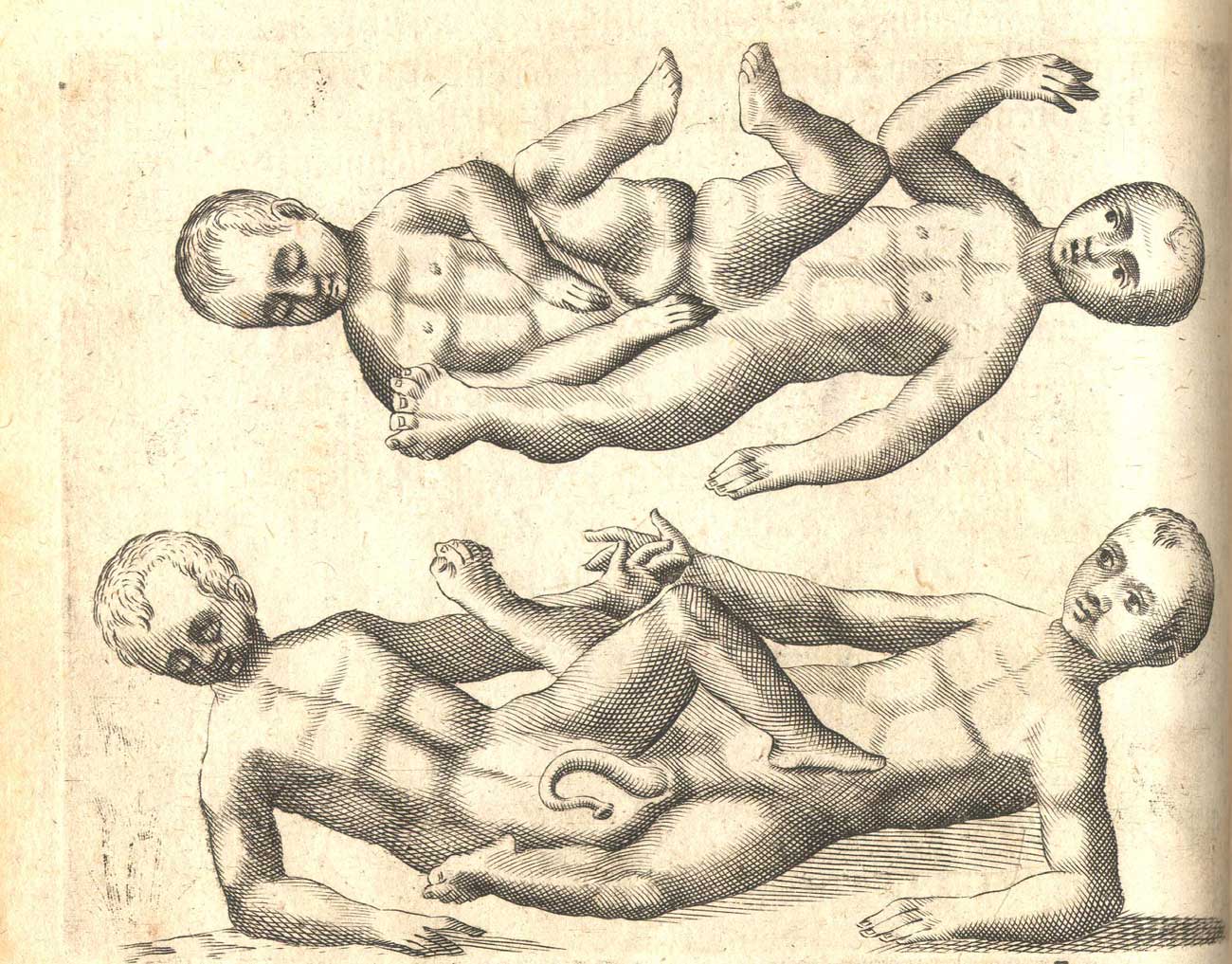  Fortunio Liceti (1577-1657). Монстры и чудовища.