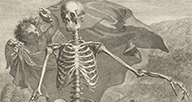 Anatomical illustration of a skeleton with a cherub.