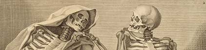 Detail of skeletons from an anatomical atlas.