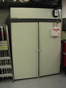 A large upright freezer is standing against a concrete block wall.  Ladders are stored to the left of the freezer.  Attached to the right freezer door are a temperature monitoring and control panel and a first aid kit.  In this picture, the temperature panel is not plugged in.  The freezer also has a key in a lock positioned on the right-hand side.