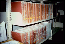 Two metal shelves lined with books covered in mold.