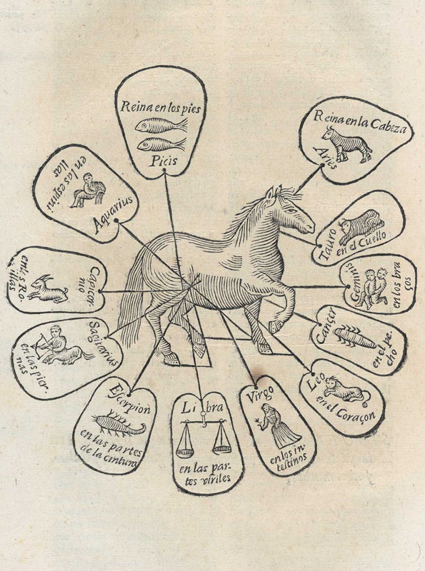 Woodcut chart showing a horse in the middle of the page with the twelve symbols of the zodiac linked to parts of the horse’s body. 