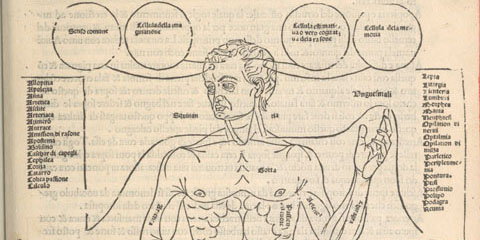 Woodcut chart showing nude male figure facing front surrounded by disease labels linked to body parts.