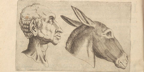 Copperplate engraved illustrations showing a man and a donkey in profile, and a man and a deer in profile.