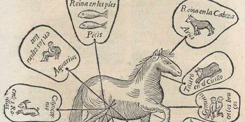 Woodcut chart showing a horse in the middle of the page with the twelve symbols of the zodiac linked to parts of the horse’s body. 