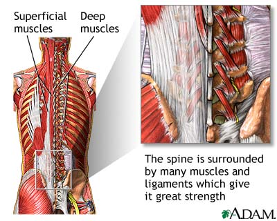 Risk of tattoos are fleshy upper back lower back spine- Abdominal pressure 