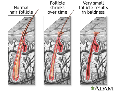 Each hair sits in a cavity in the skin called a follicle.