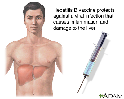 Hepatitis B Immunization Vaccine