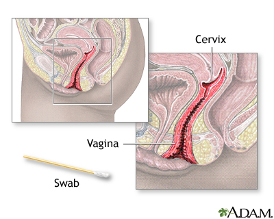 Click Here for pap smear